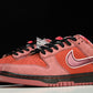 Concepts x SB Dnk Low 'Red Lobster'