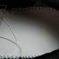 Off-White Out Of Office OOO Low Top 'Black White' (Panda)