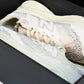 NB x Stone Island x Tokyo Design Studio FuelCell RC Elite V2 'White'