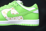 Supreme x SB Dnk Low Stars 'Mean Green'