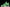 AJ4 Retro Wahlburgers