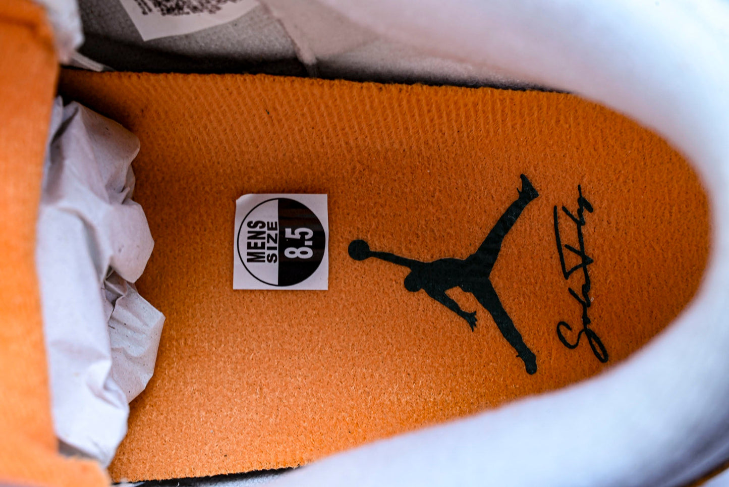 AJ3 x Solefly 'Miami'