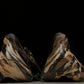 Yzy Foam RNNR 'MX Cinder'