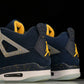 AJ4 Retro Michigan PE