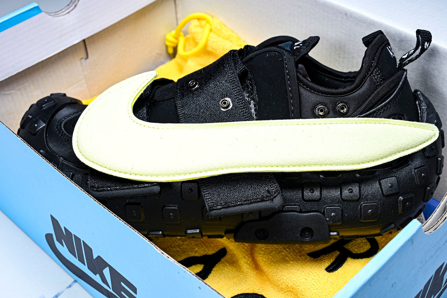 Cactus Plant Flea Market A1R FLEA 2 'Black Alabaster'