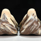 Yzy Foam RNNR 'MX Cream Clay'