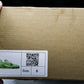Louis Vuittоп Trainer by Tyler, The Creator 'Green'