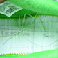 AF1 DOAF Oregon 'Egg or Duck' PE