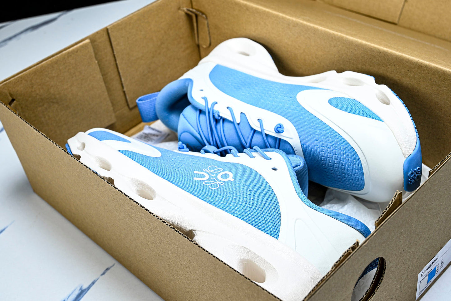 LOEWE × ON Cloudsolo 'Blue White'