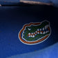 AJ4 Retro Florida Gators PE