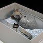 Birkenstock x D1or Tokio Mule Felted Wool 'Grey'