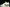 AJ3 Retro 'Lucky Green'