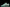 Concepts x SB Dnk Low x Tagz 'Tiffany Aqua Diamond Lobster' (Unreleased)