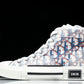 D1or B23 High ‘Oblique Red Blue Pixel’