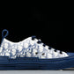 D1or B23 Low ‘Oblique Blue’