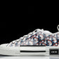 D1or B23 Low ‘Oblique Red Blue Pixel’