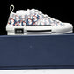 D1or B23 Low ‘Oblique Red Blue Pixel’