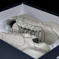 D1or B27 Low Gravity Leather 'Triple Khaki'