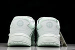 D1or B30 x Stone Island 'Pale Green'