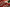 Samba x Wales Bonner Red White - UK 4.5 / US 5 (W 6) / EU 37