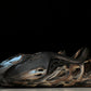 Yzy Foam RNNR 'MX Cinder'