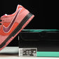 Concepts x SB Dnk Low 'Red Lobster'