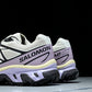 Salomon XT-6 'Icicle Nirvana'