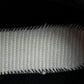 Moncler Trailgrip GTX 'Fluo Yellow'