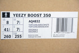 Yzy Boost 350 Turtle Dove