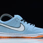 Dnk Low Pro SB 'Gulf'