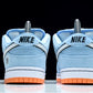 Dnk Low Pro SB 'Gulf'