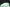 Dnk Low 'Green Glow'