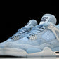 AJ4 Retro UNC PE